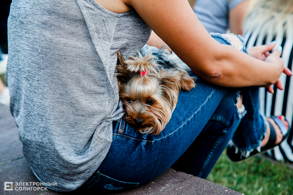 рок концерт Солигорск