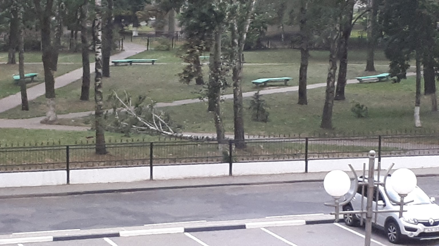 дерево упало солигорск