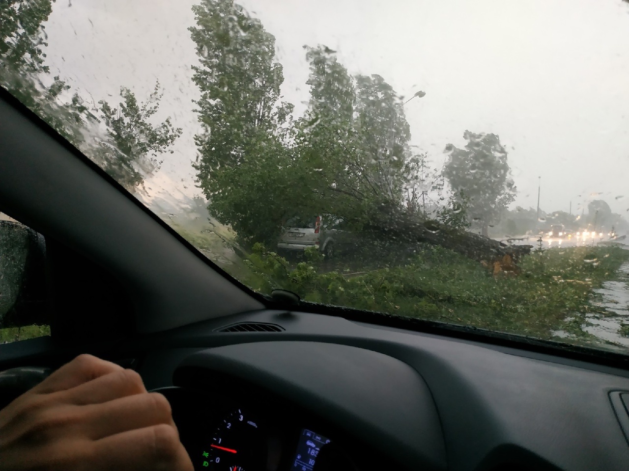 дерево упало солигорск