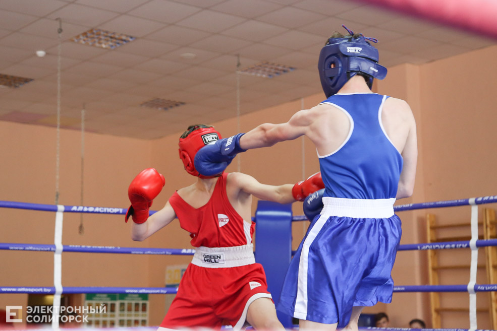 бокс солигорск