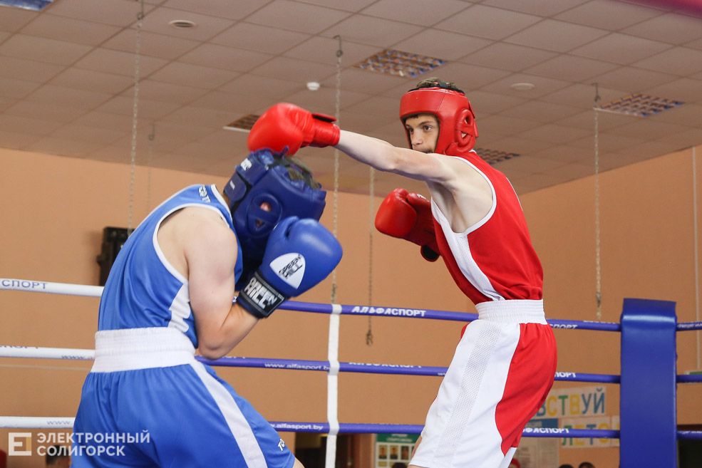 бокс солигорск