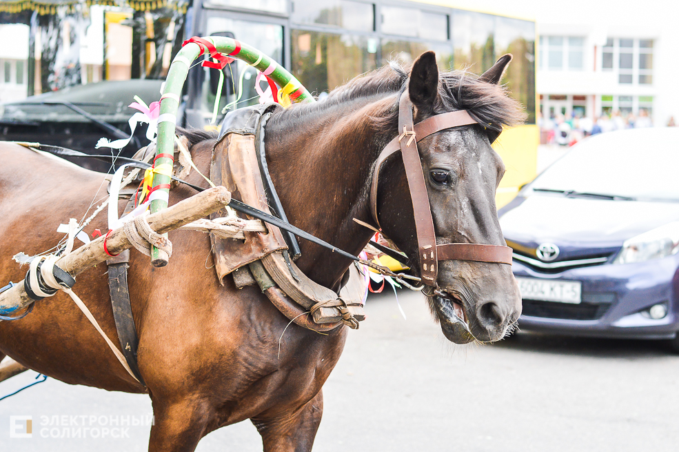 глiняны цуд