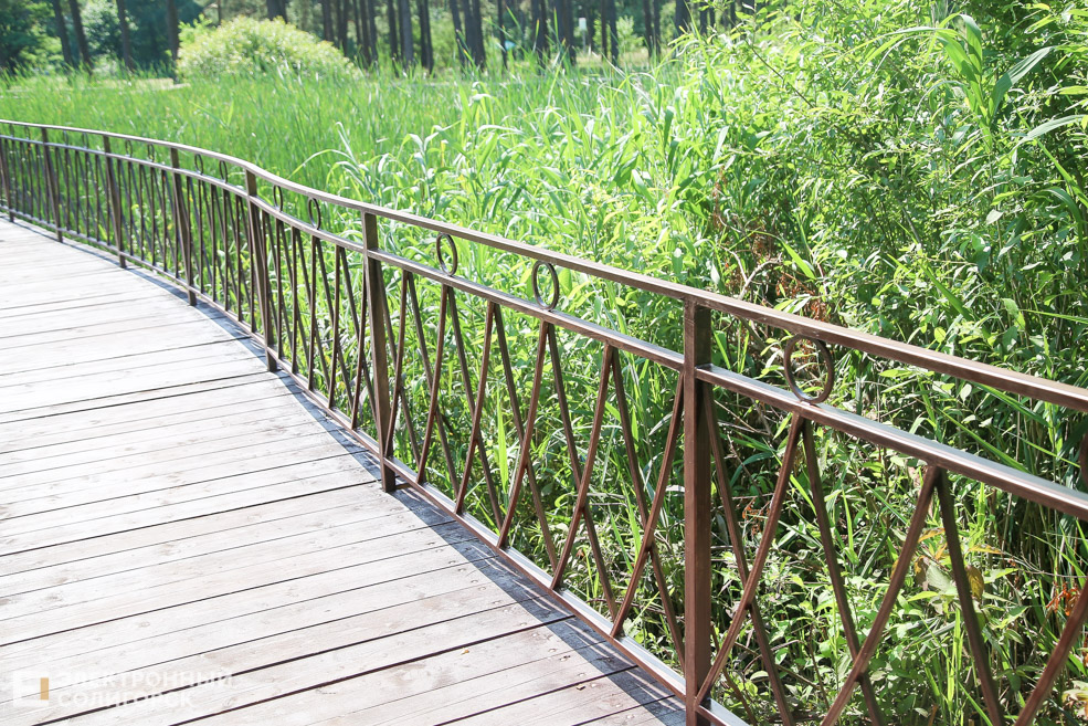 лягушатник солигорск мост