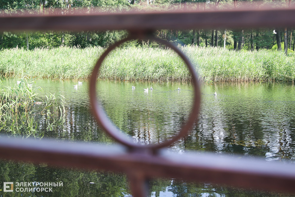 лягушатник солигорск мост