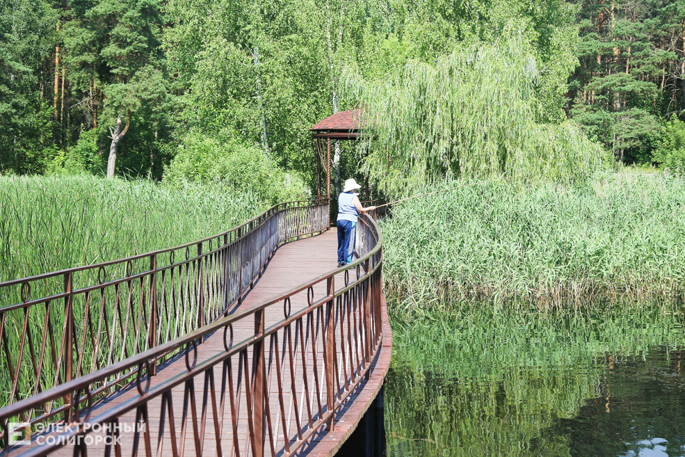 лягушатник солигорск мост
