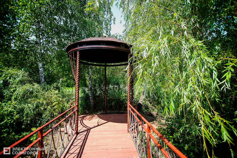 мост лягушатник солигорск пруд