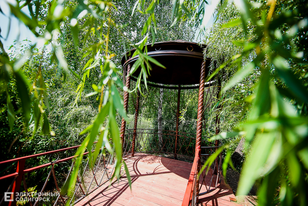 мост лягушатник солигорск пруд