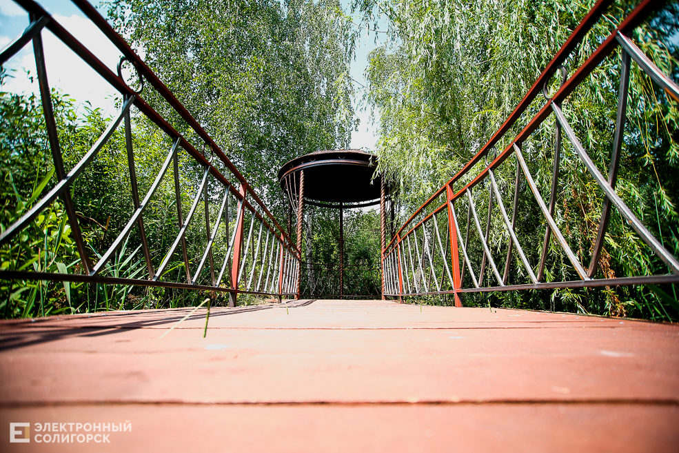 мост лягушатник солигорск пруд