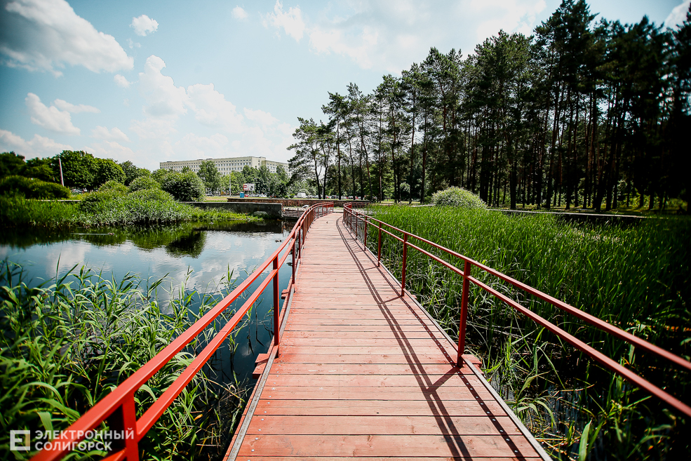 лягушатник Солигорск