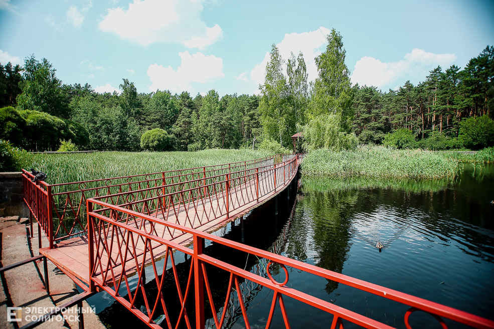 мост лягушатник солигорск пруд