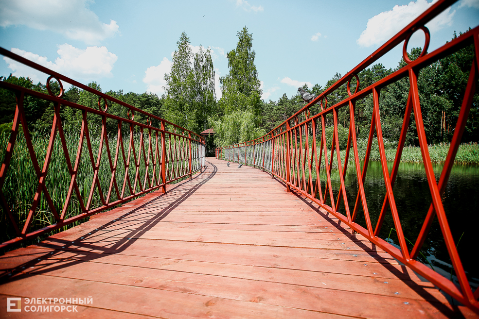 мост лягушатник солигорск пруд