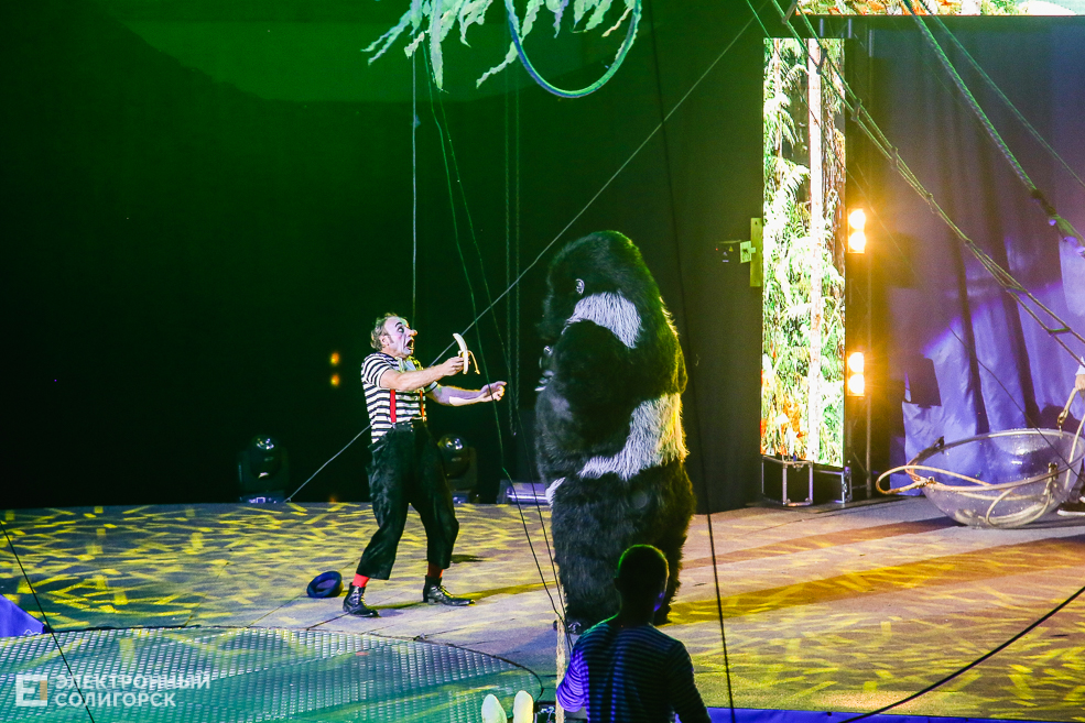 цирк вандерленд солигорск
