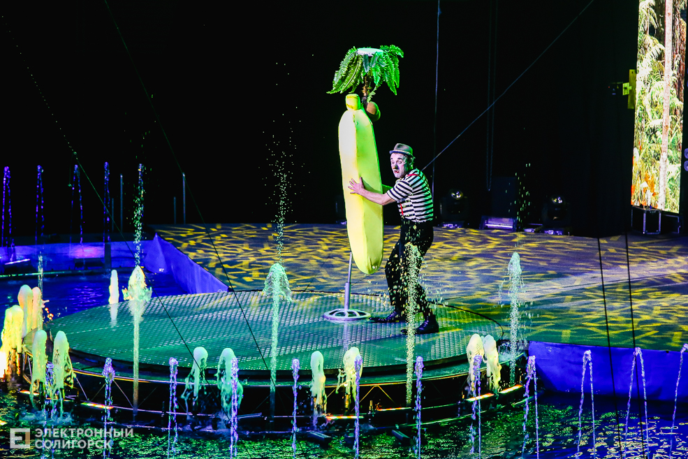 цирк вандерленд солигорск