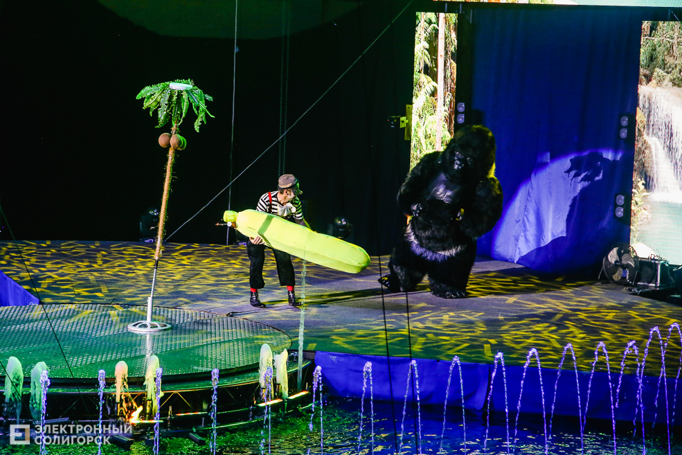 цирк вандерленд солигорск