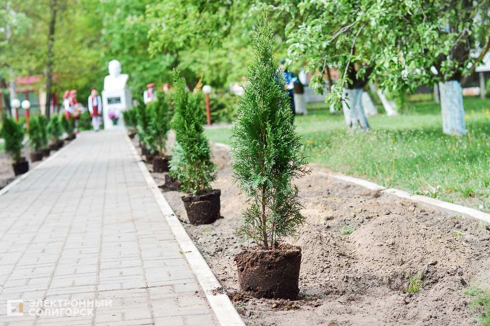 5 школа дань памяти