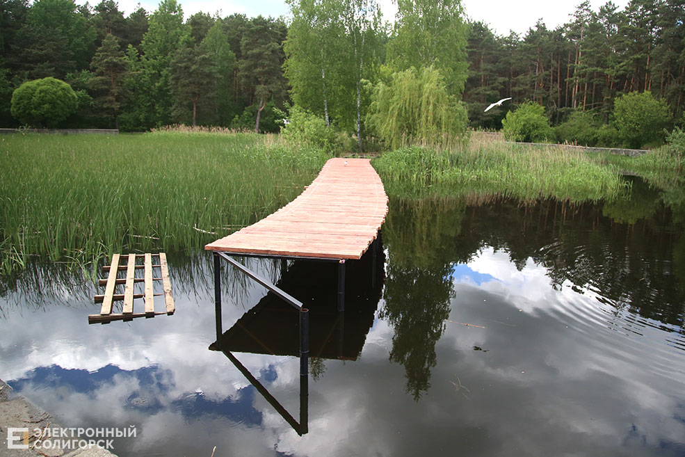 лягушатник солигорск мост