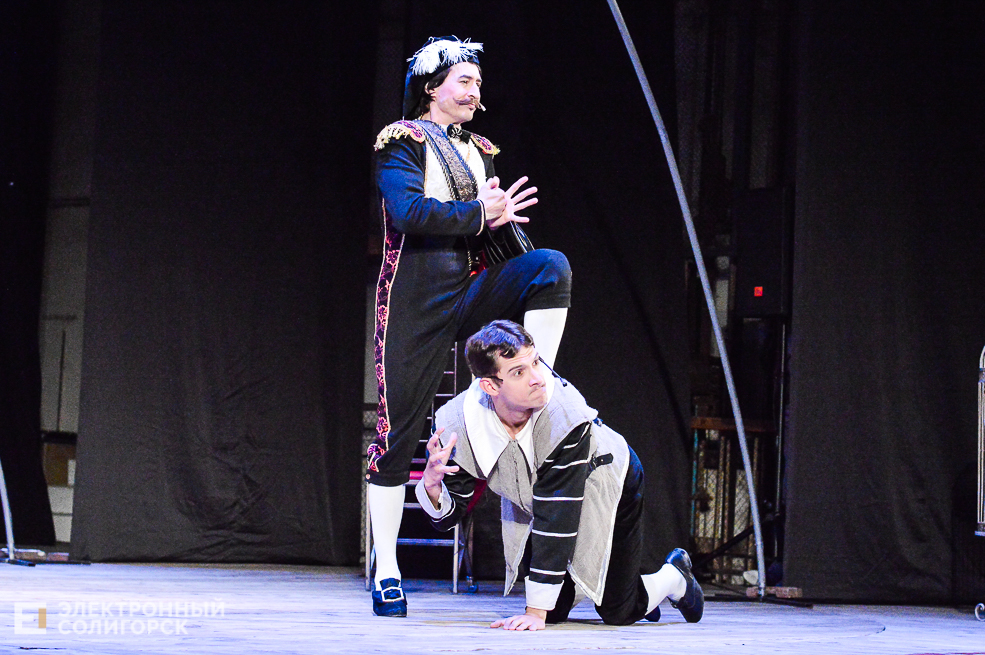 собака на сене