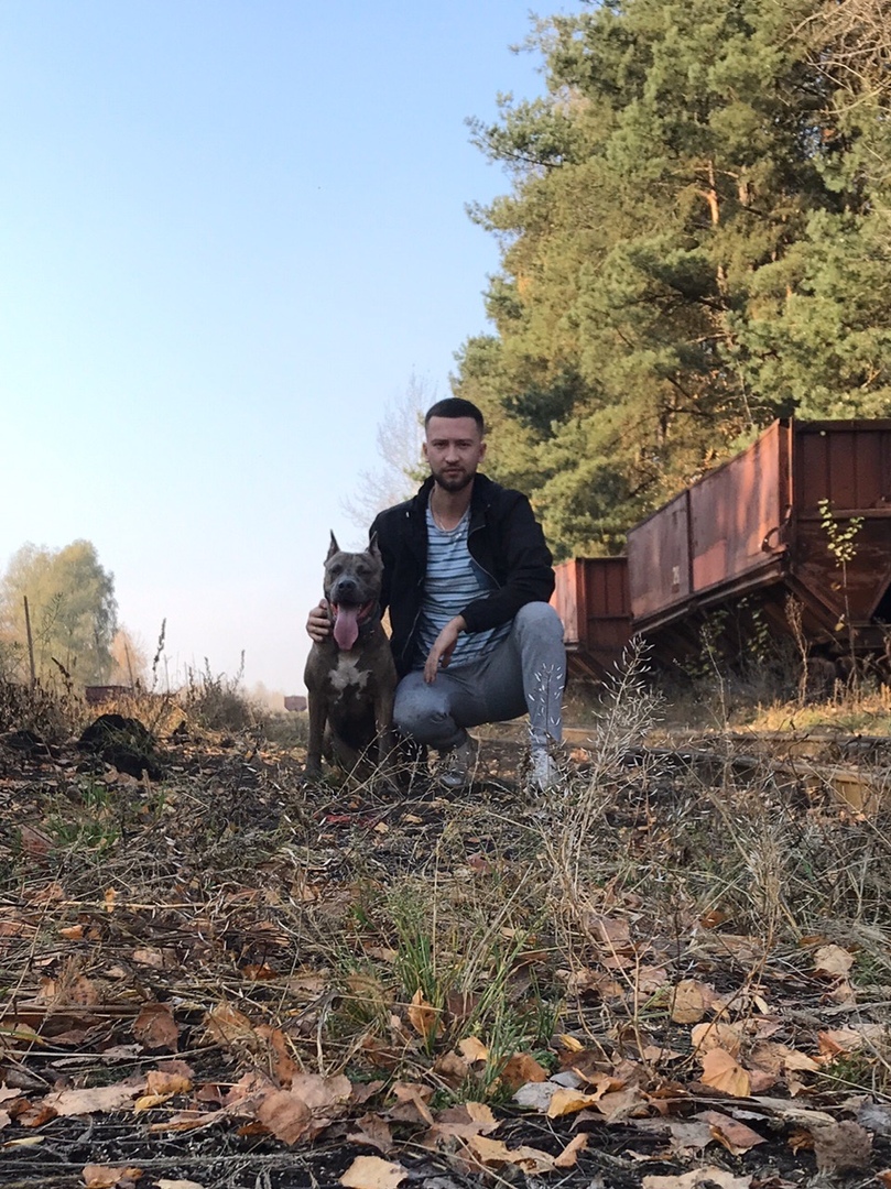 Собаки Солигорск