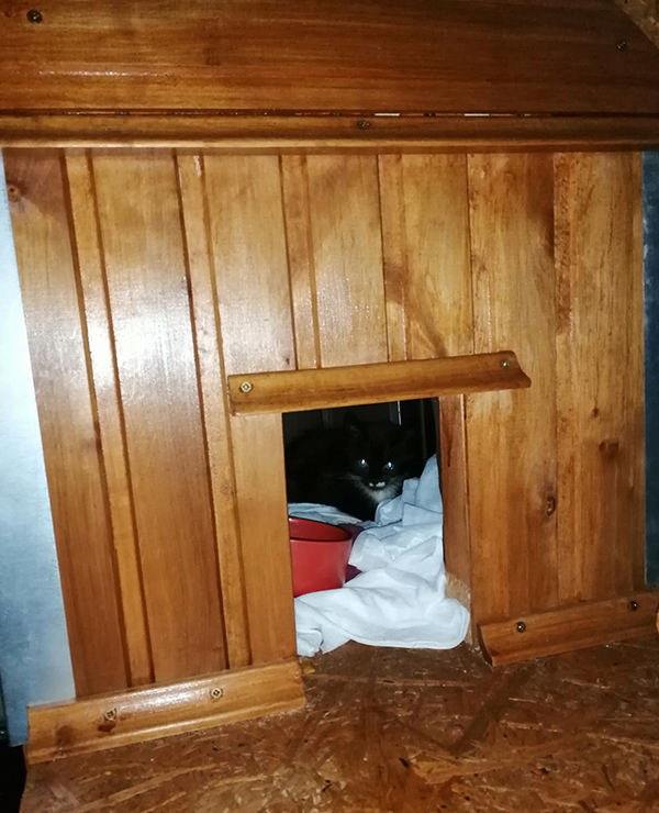 будка для котов солигорск