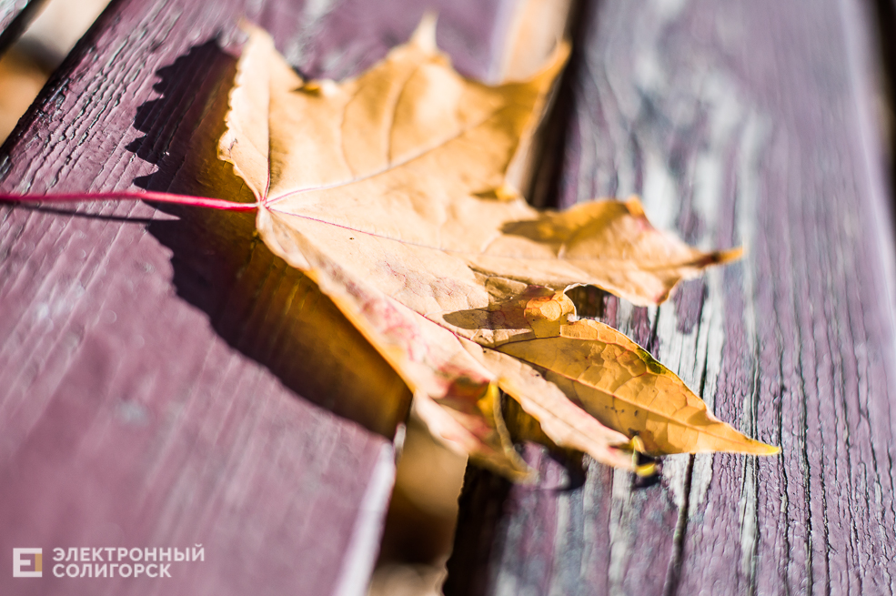 Осень в Солигорске