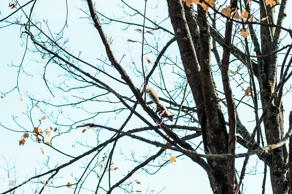 Осень в Солигорске