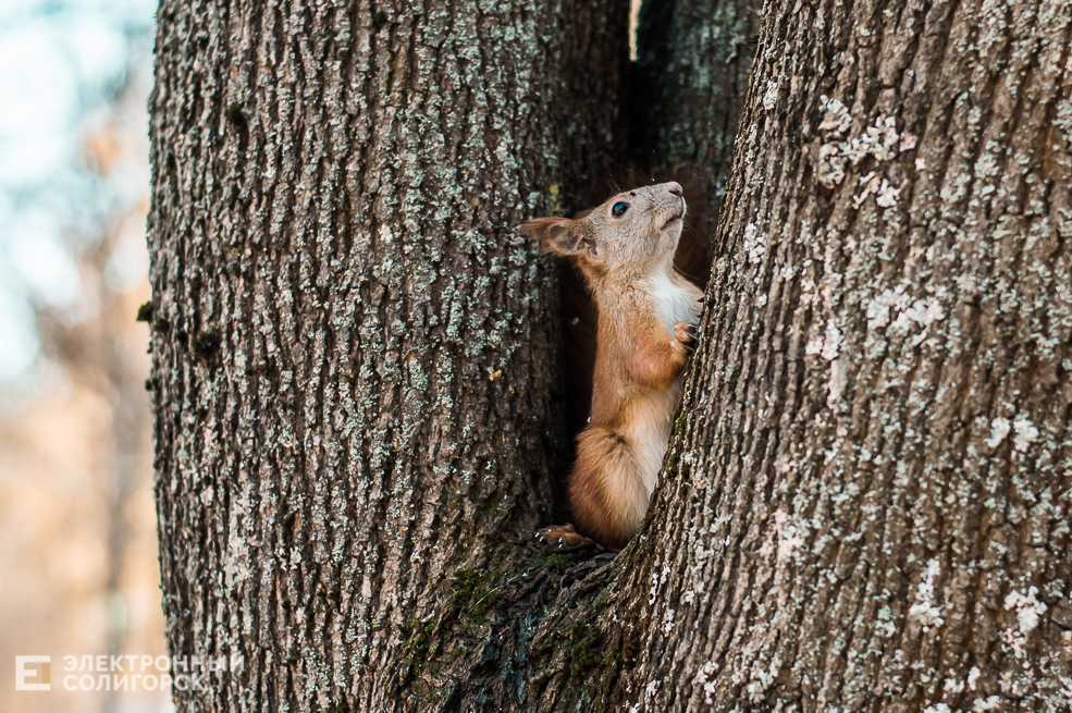 Осень в Солигорске