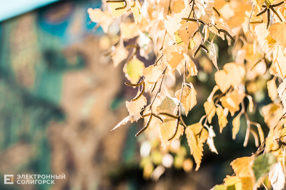 Осень в Солигорске