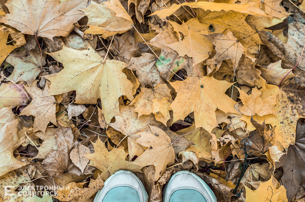 Осень в Солигорске