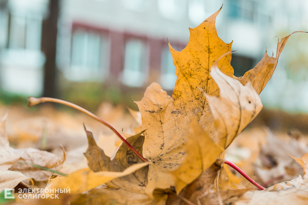 Осень в Солигорске