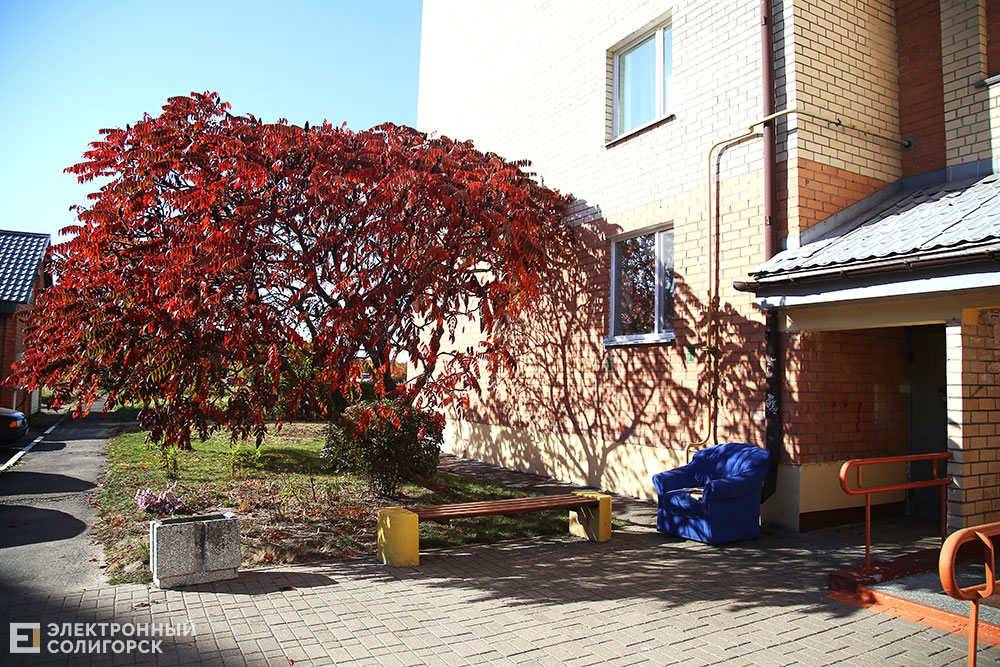 Осень в Солигорске