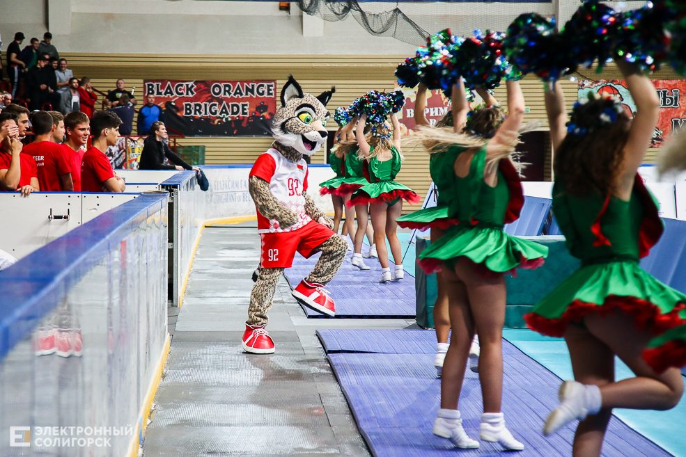 волейбол Солигорск шахтер