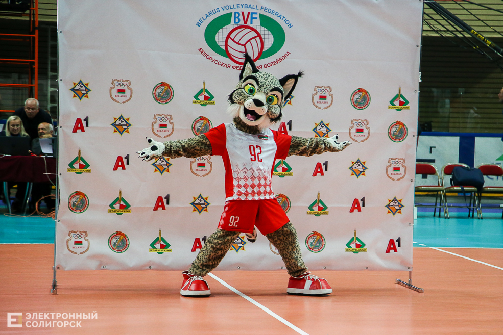 волейбол Солигорск шахтер