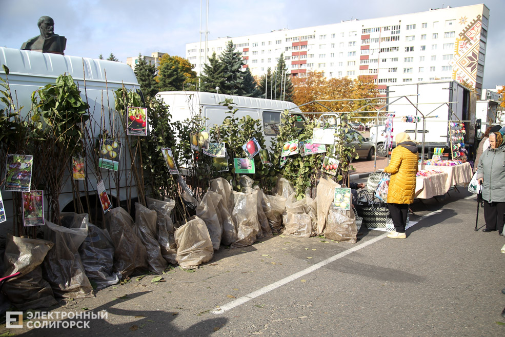 ярмарка Солигорск