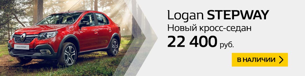 Logan Stepway 22 400
