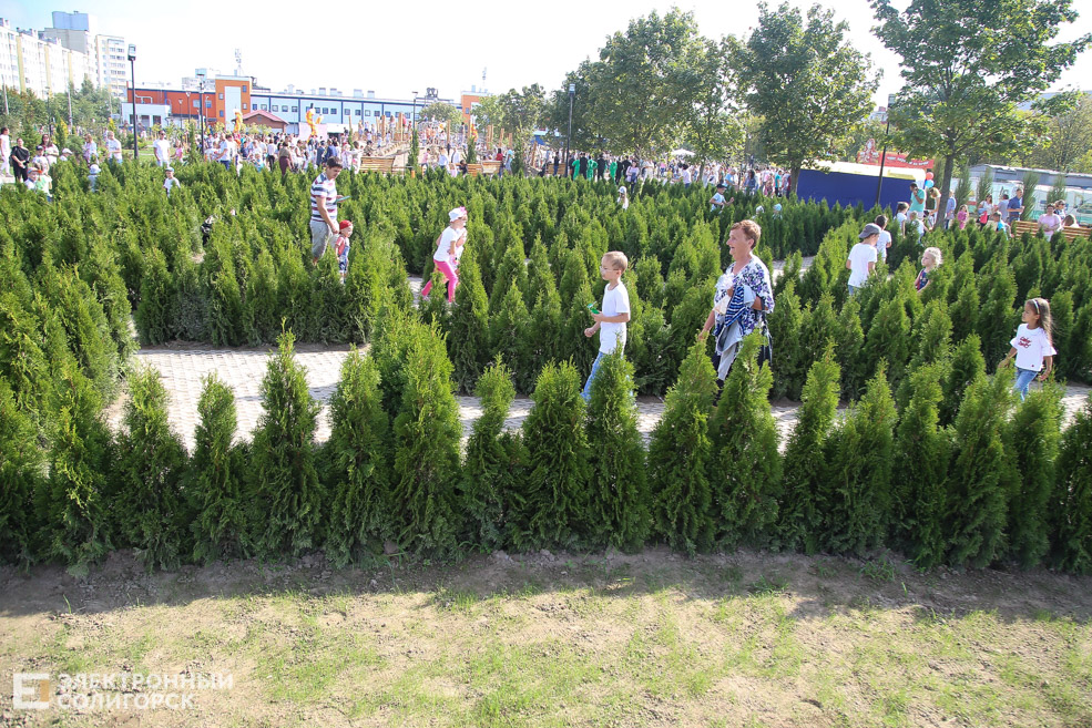 сквер семьи любви и верности солигорск открытие