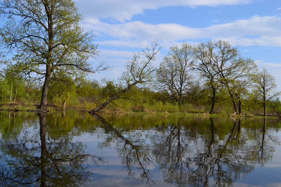 Туризм в Солигорске