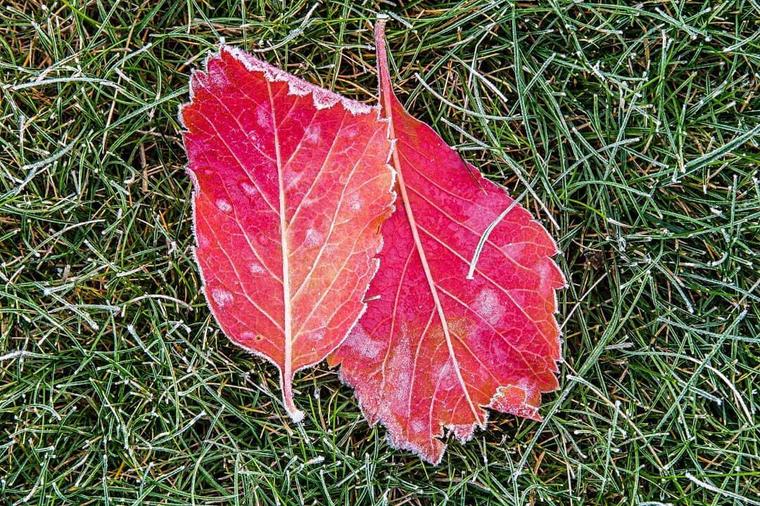 Заморозки Солигорск