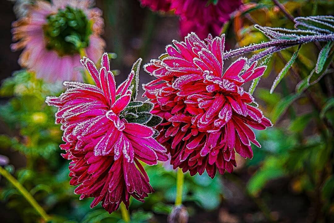 Заморозки Солигорск