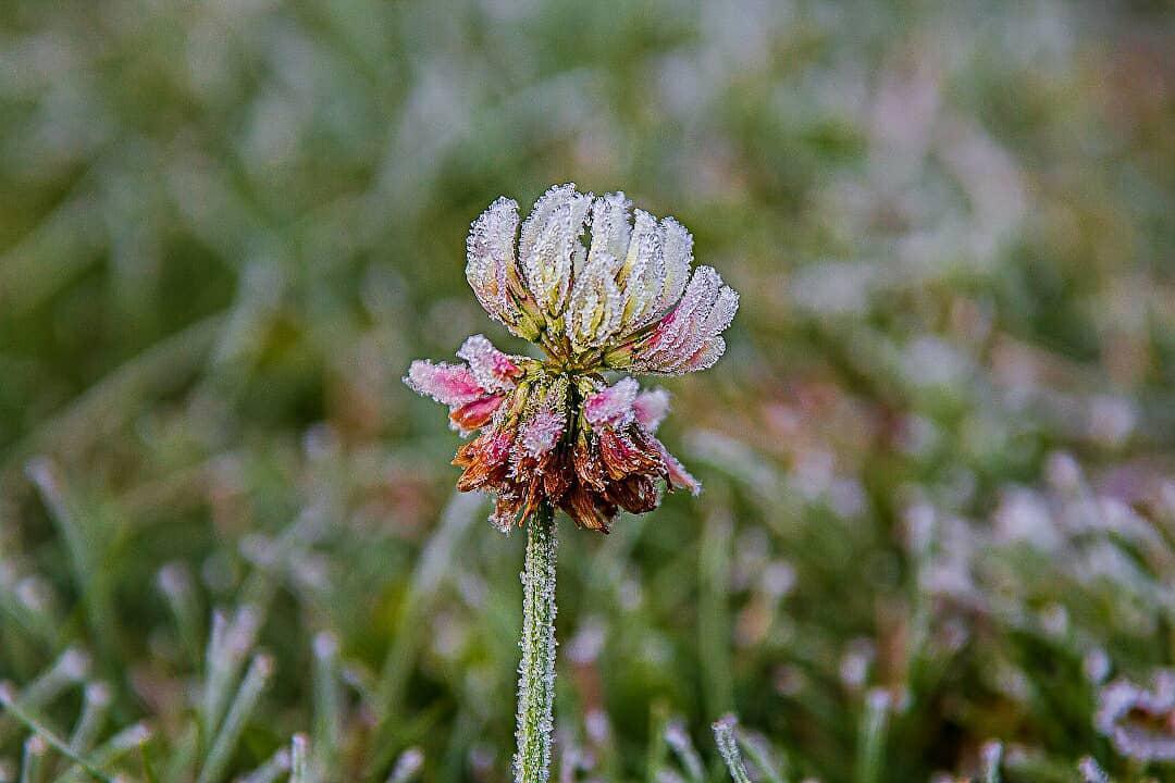 Заморозки Солигорск