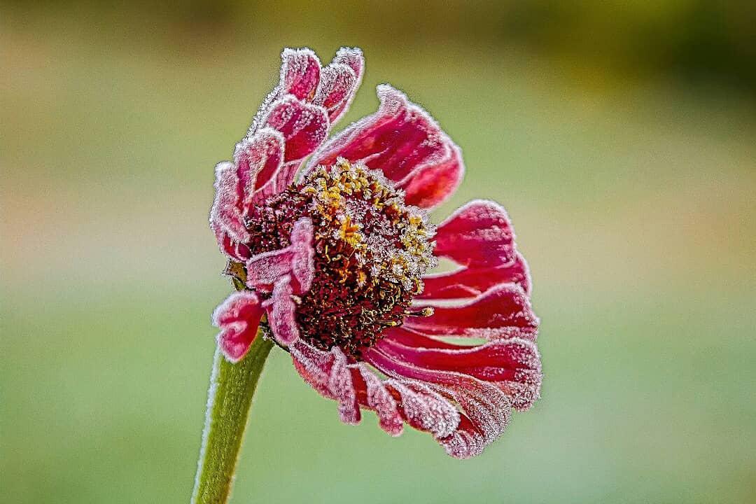 Заморозки Солигорск