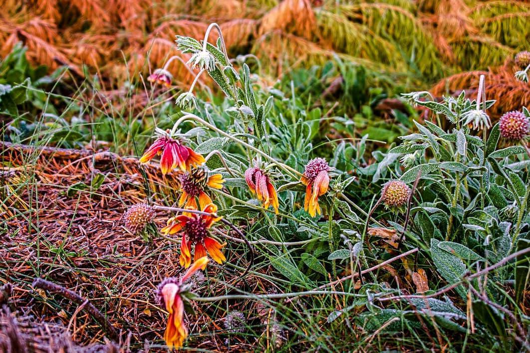 Заморозки Солигорск