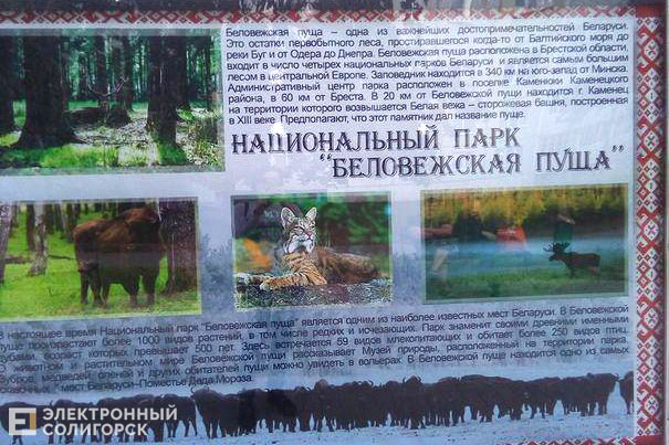 остановка солигорск плакаты