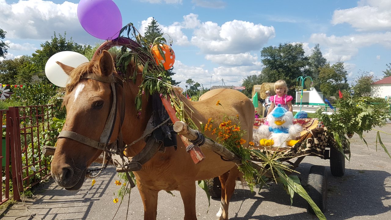 Праздник деревень Солигорский район