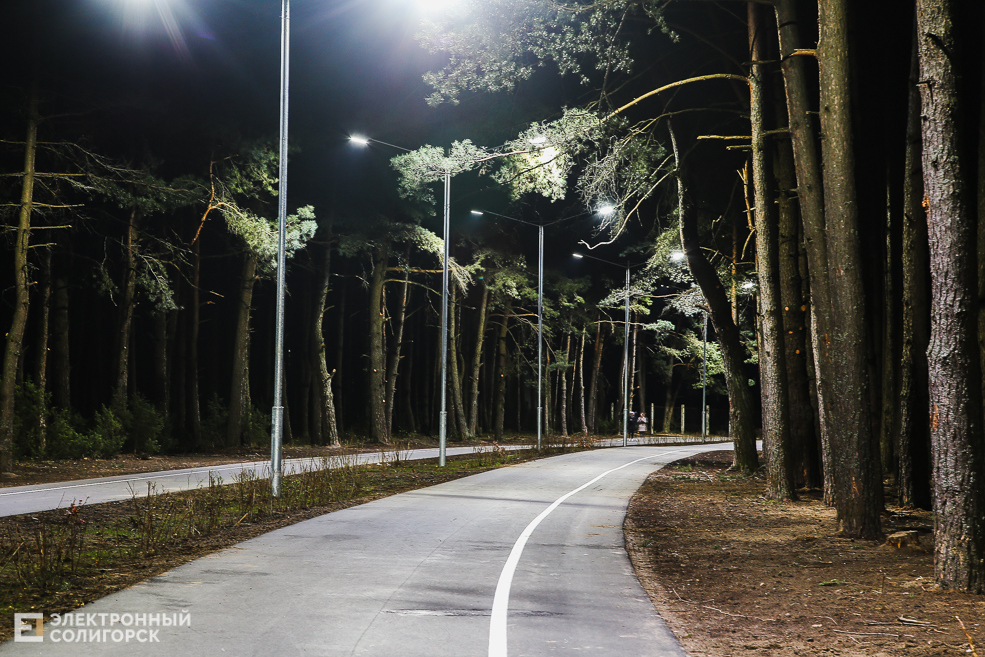 трасса лыжероллерная солигорск вечер