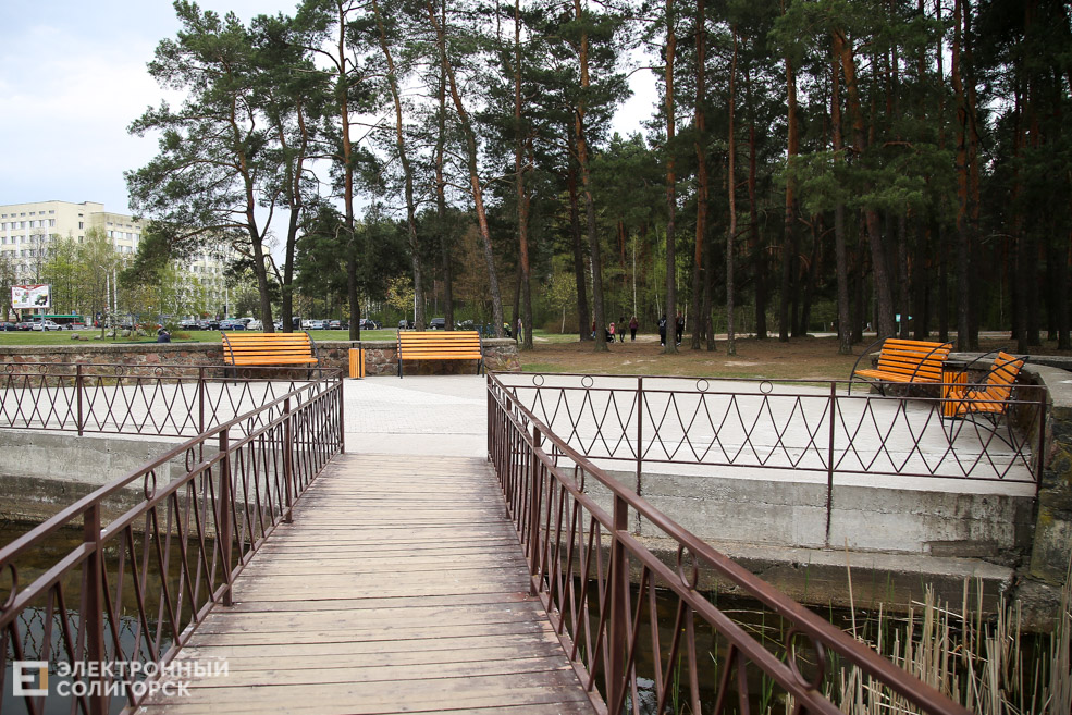 лягушатник солигорск