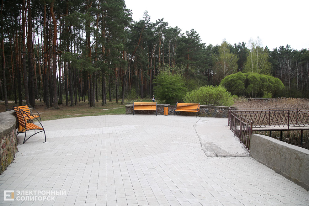 лягушатник солигорск