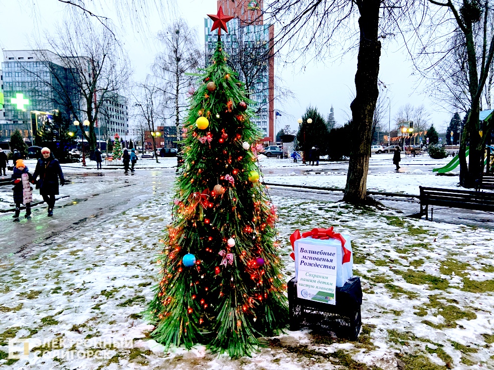 парад елок вечер