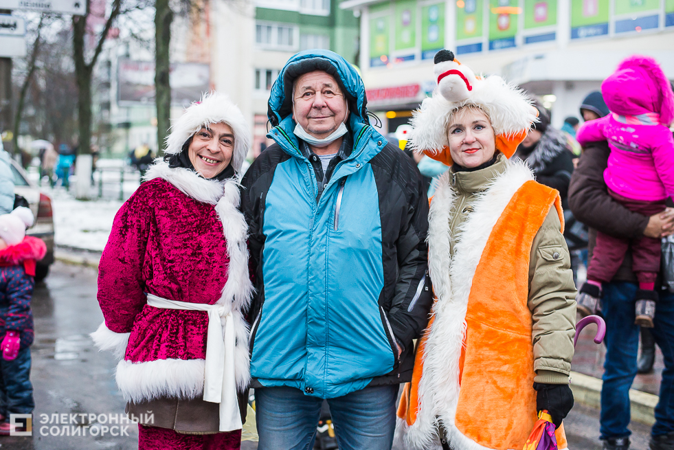 шествие дедов морозов