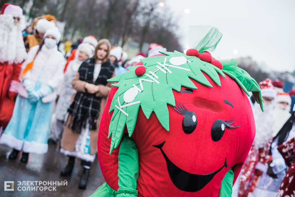 шествие дедов морозов