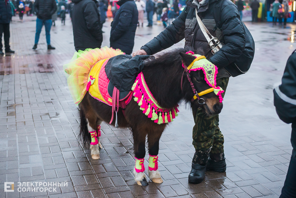 шествие дедов морозов